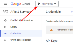 Google Maps API Key